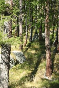 Macugnaga Monte Rosa