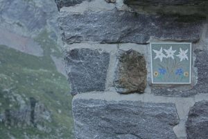 Paesaggi - di - montagna