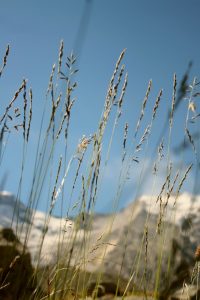 Paesaggi - di - montagna