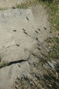 Paesaggi - di - montagna