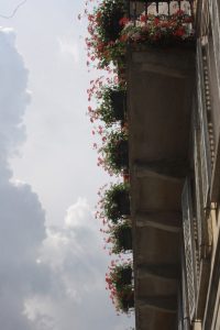 Paesaggi - di - montagna