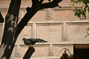 Marrakech - Palais Bahia