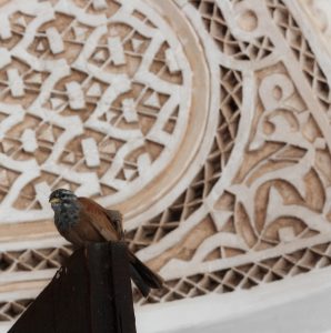 Marrakech- Palais- de- Bahia