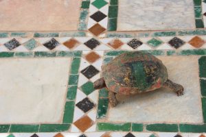 Marrakech- Palais Bahia