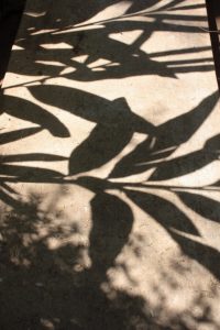 Marrakech- Palais Bahia