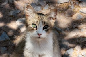 Marrakech- Palais Bahia