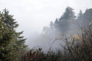 Appennino Tosco -Emiliano