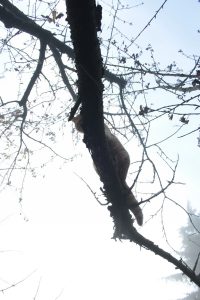 Appennino Tosco -Emiliano