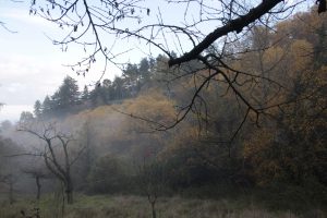Appennino Tosco -Emiliano