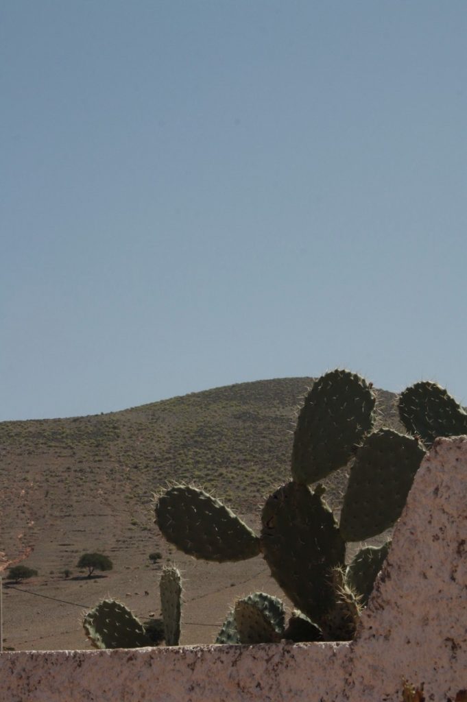 Festival International du Cinema et la Mer