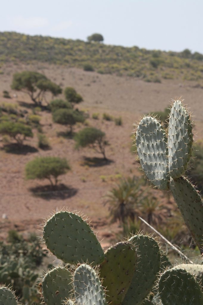 Festival International du Cinema et la Mer