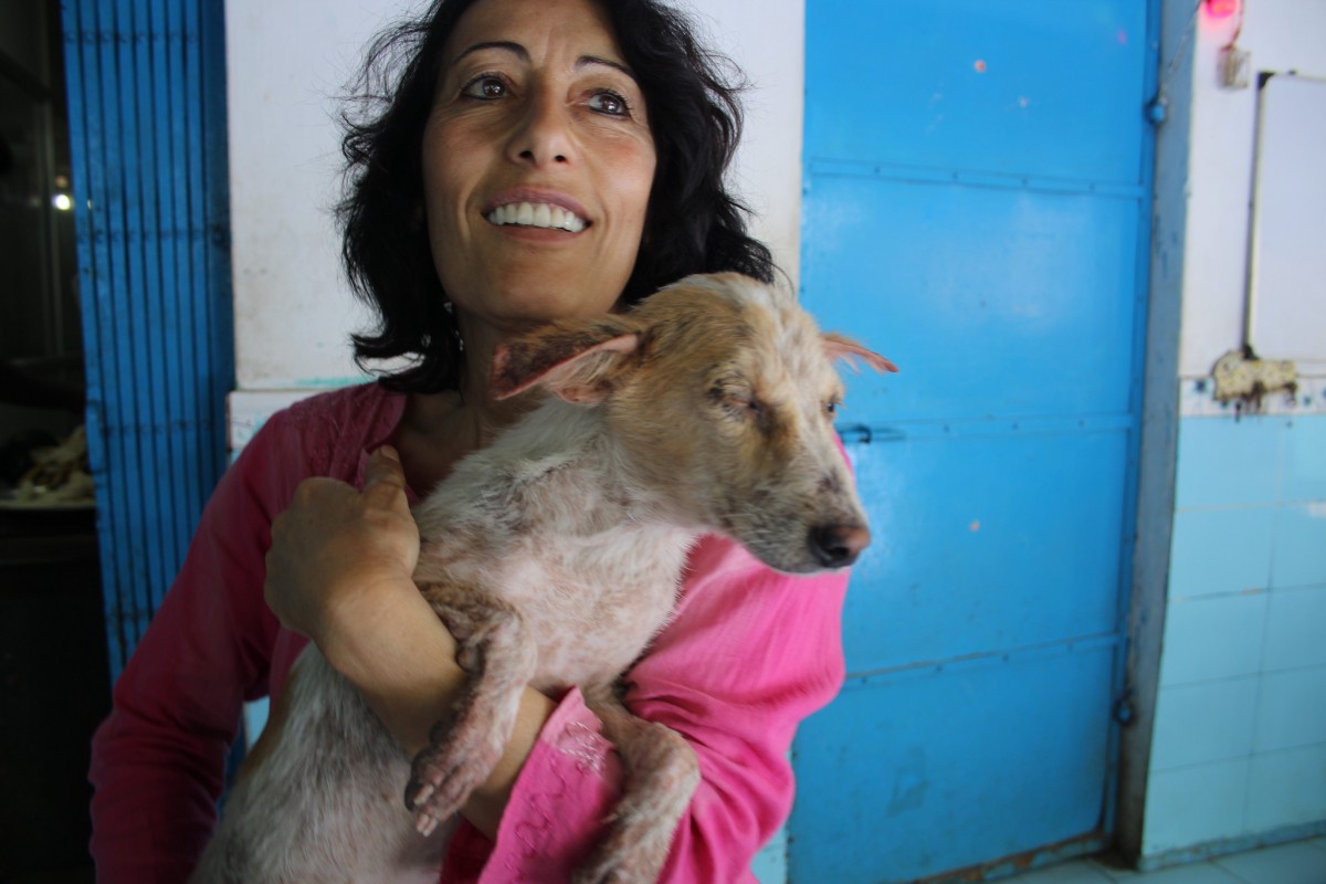 l'India e gli Incontri