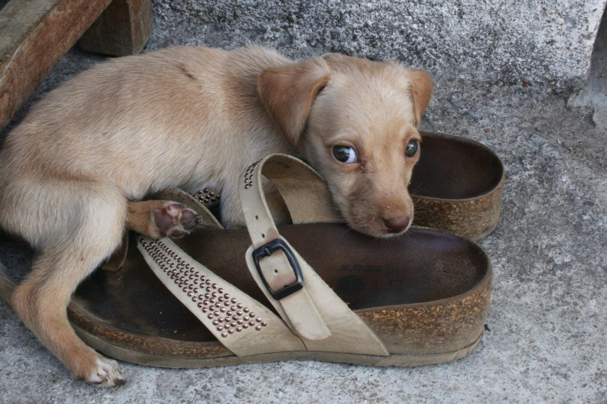 l'India e gli Incontri