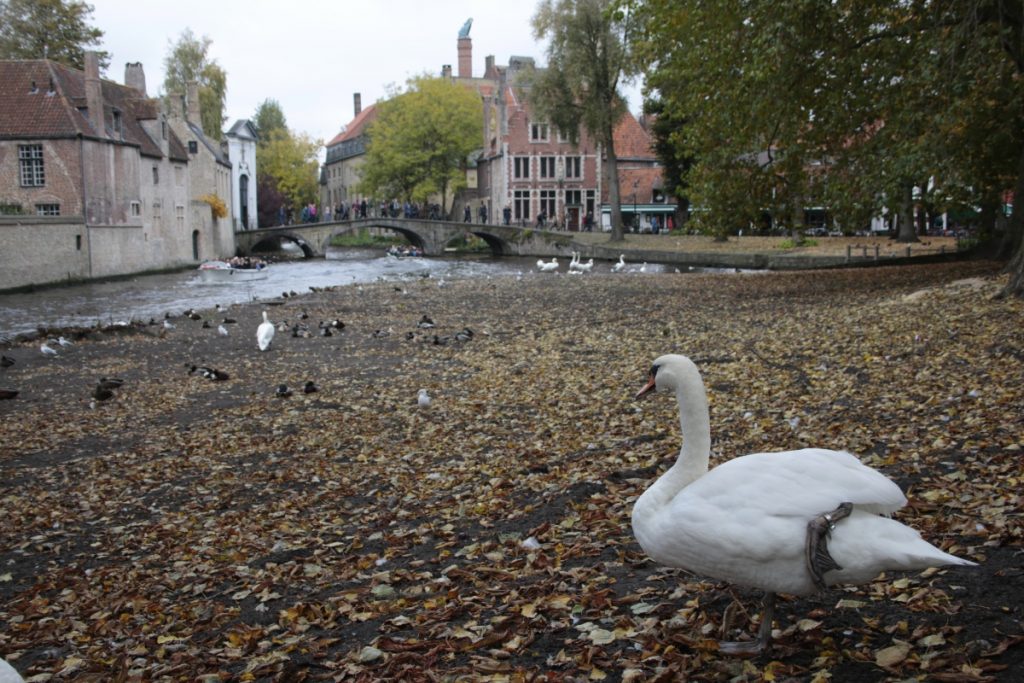 Bruges