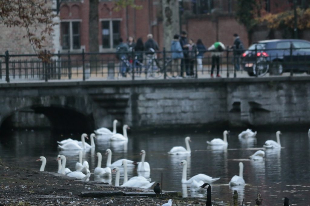 Bruges