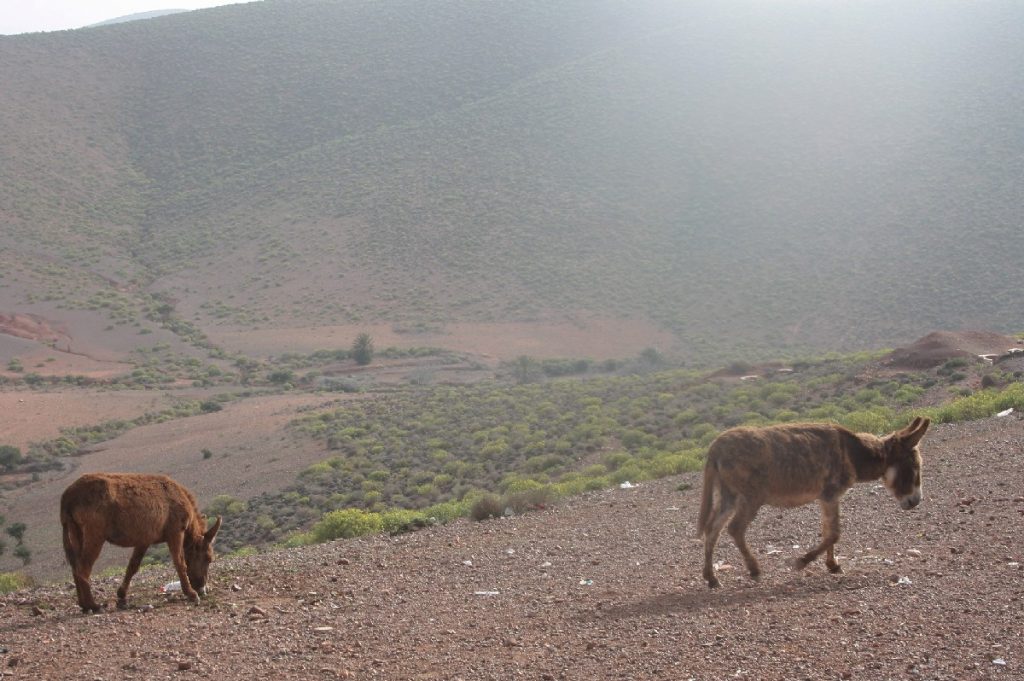 Invito a pranzo in Marocco