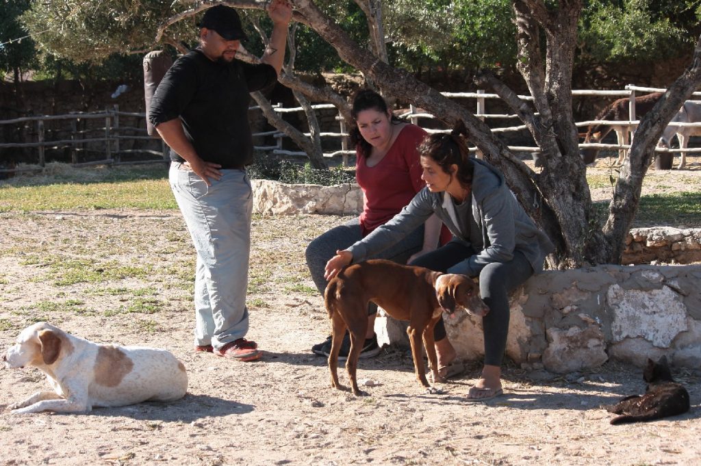 Tessa e la sua famiglia animale