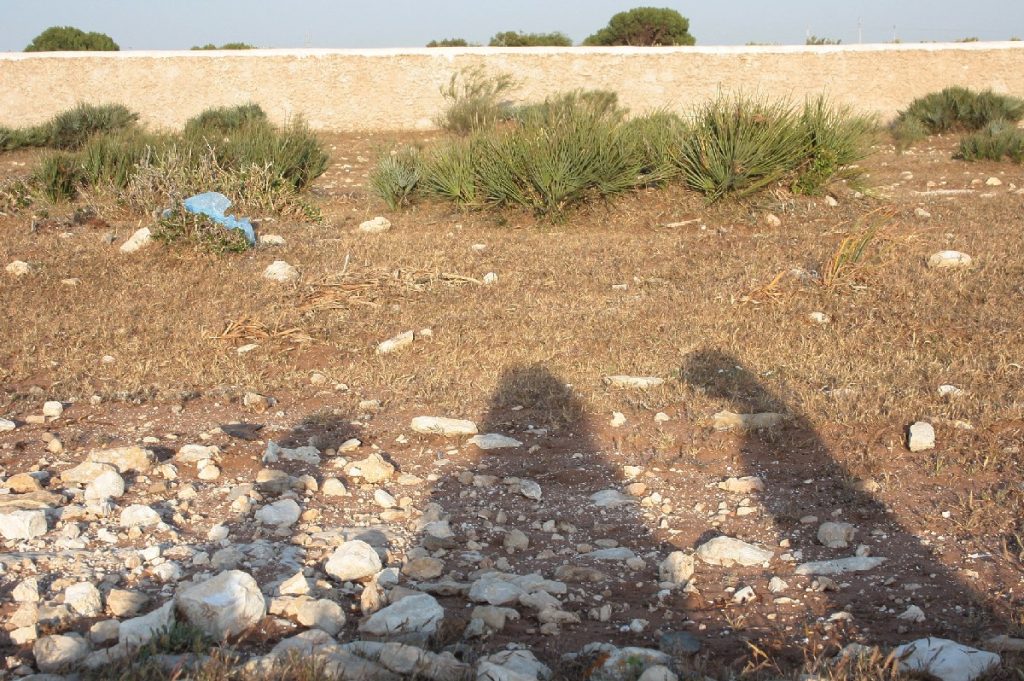 Tessa e la sua famiglia animale