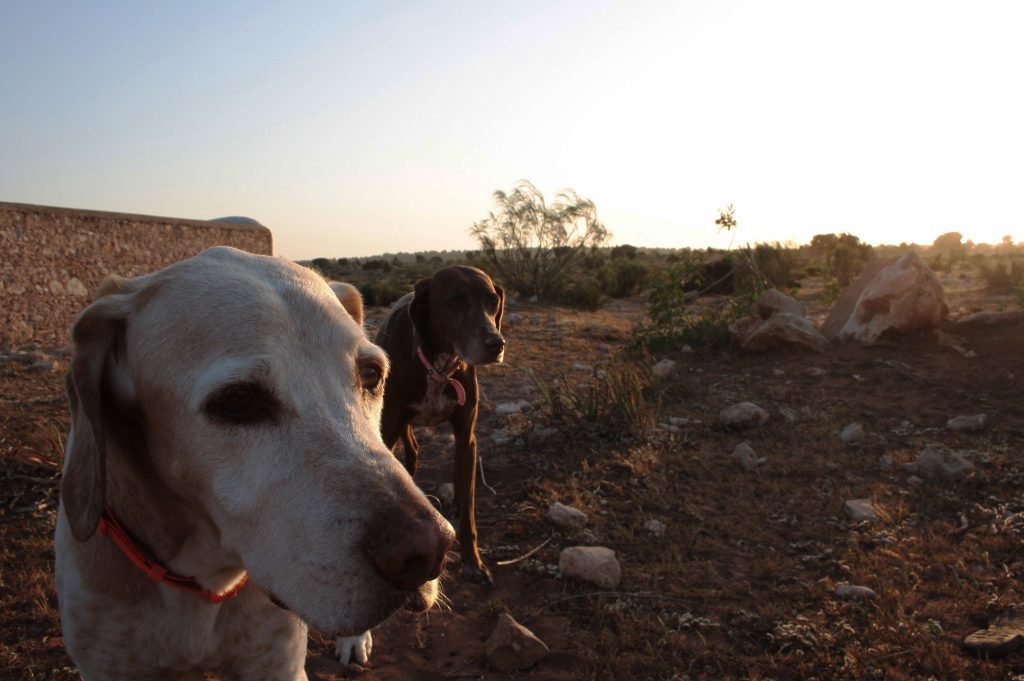 Tessa e la sua famiglia