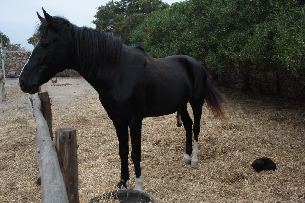 Tessa e la sua famiglia