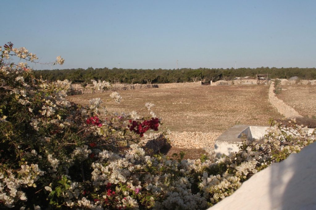 Tessa e la sua famiglia animale