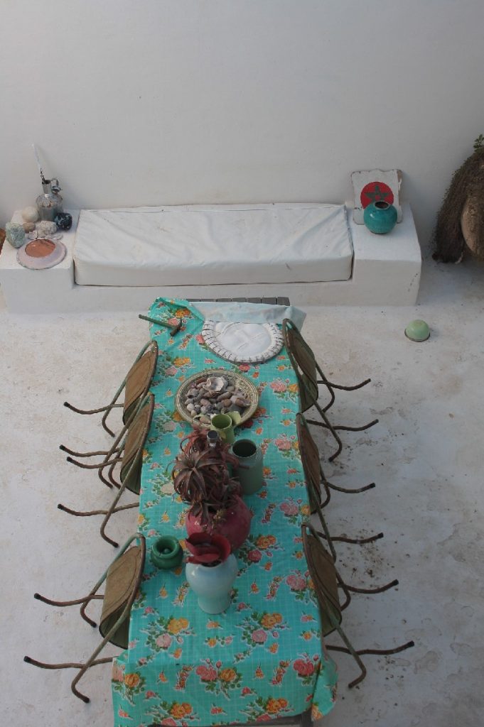 Tessa e la sua famiglia animale