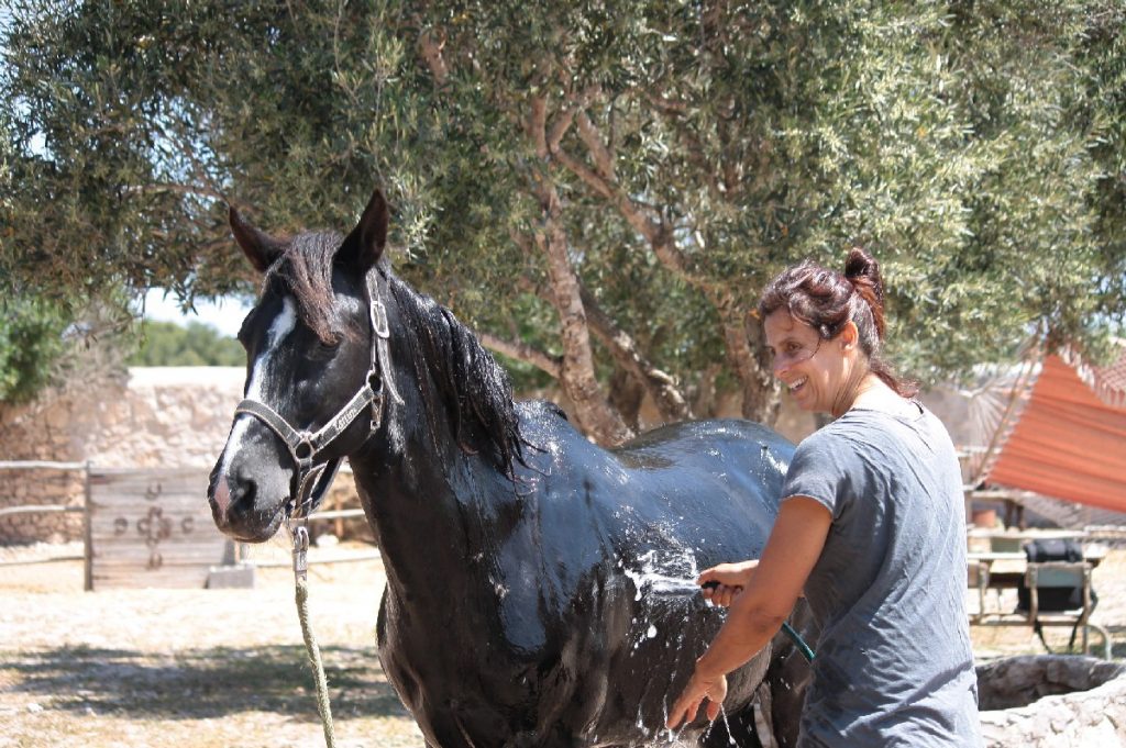Tessa e la sua famiglia animale
