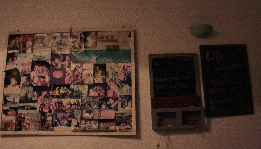 Tessa e la sua famiglia animale