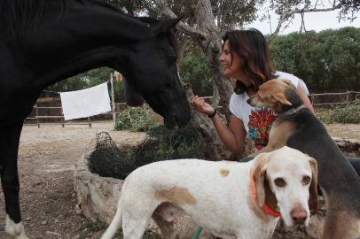 Tessa e la sua famiglia animale