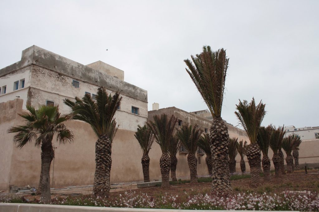 Essaouira 