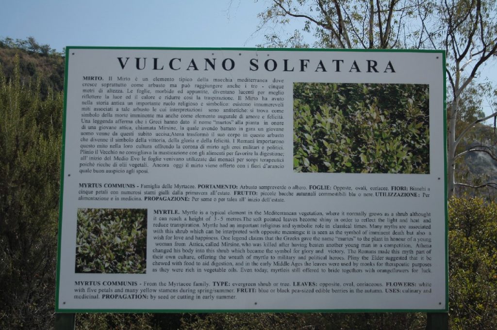 Solfatara Pozzuoli