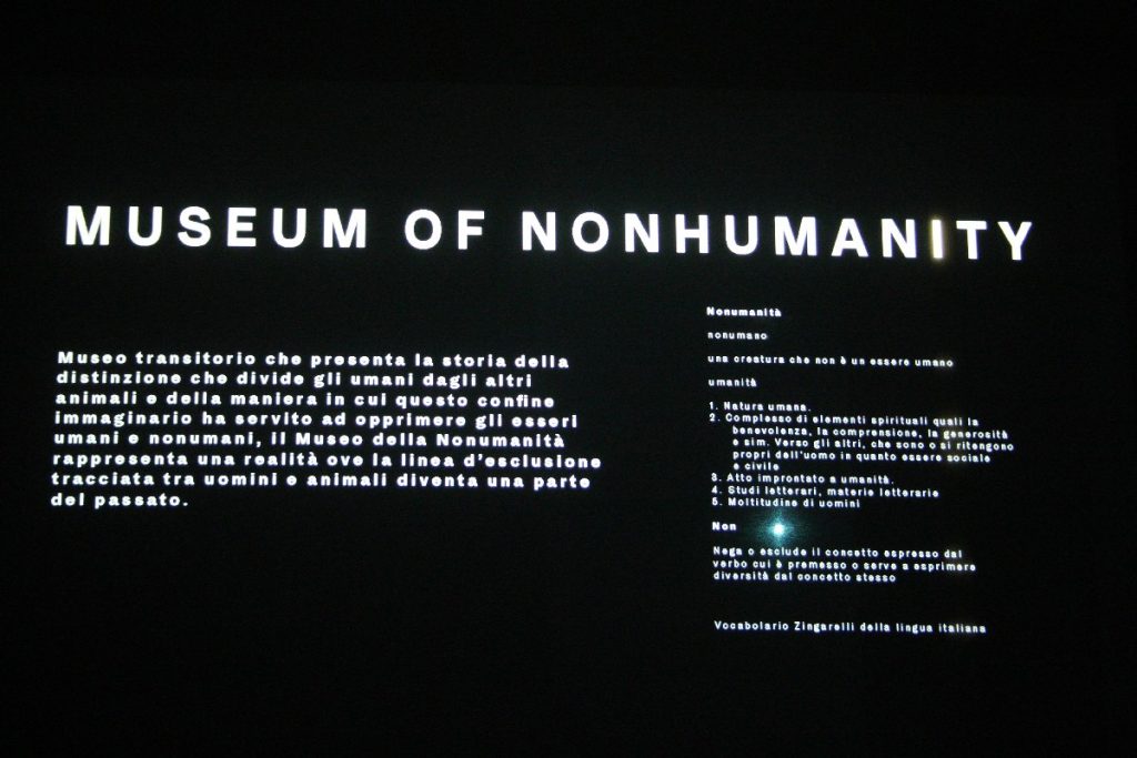 Museum of Nonhumanity