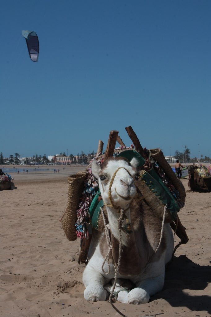Essaouira