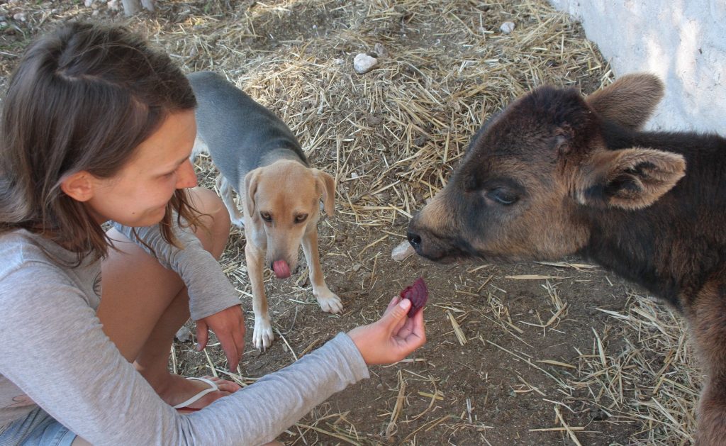 Tessa e la sua famiglia animale