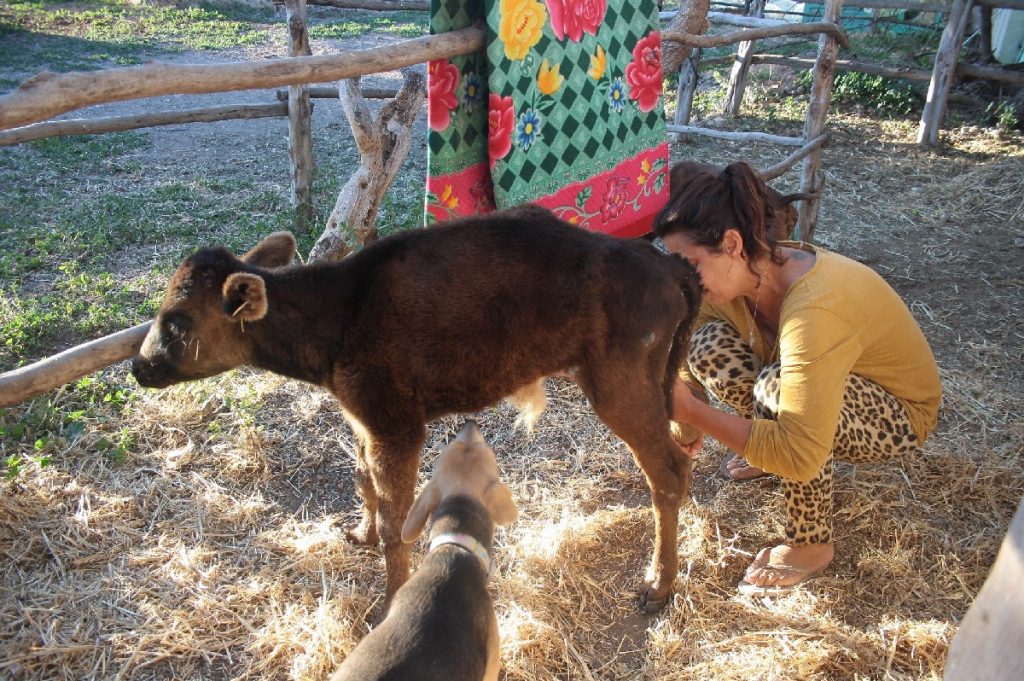 Tessa e la sua famiglia animale