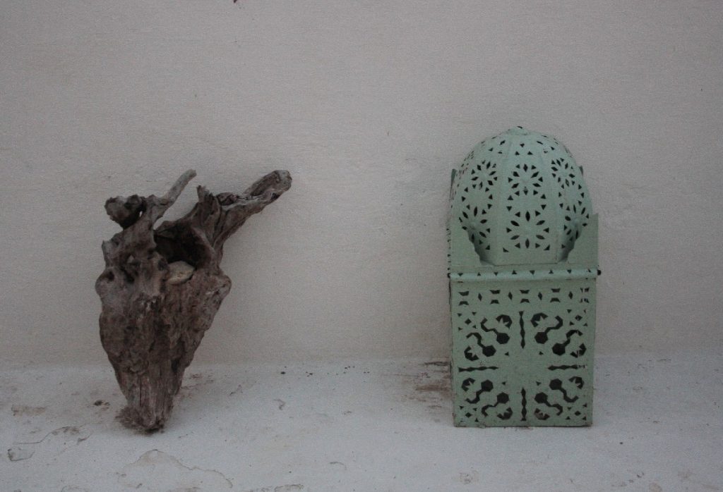 Tessa e la sua famiglia animale