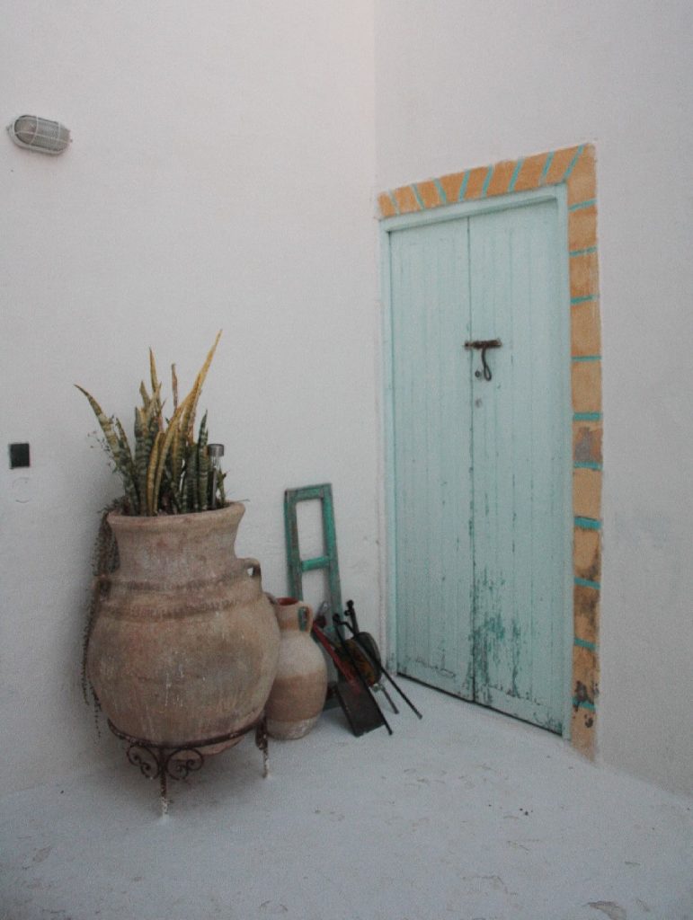 Tessa e la sua famiglia animale