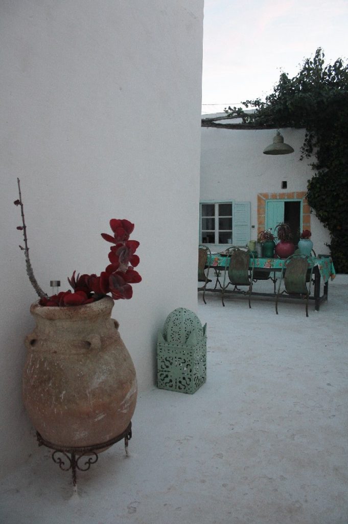 Tessa e la sua famiglia animale