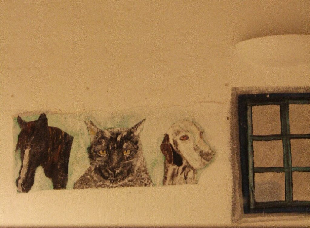 Tessa e la sua famiglia animale