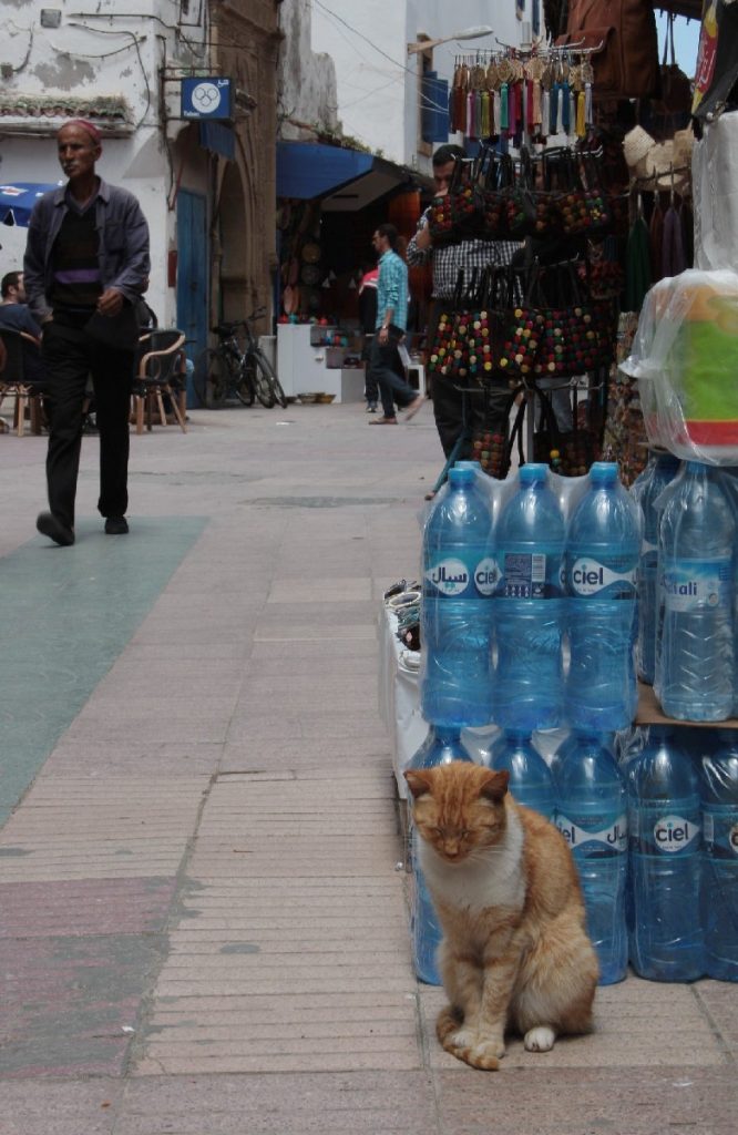 Essaouira