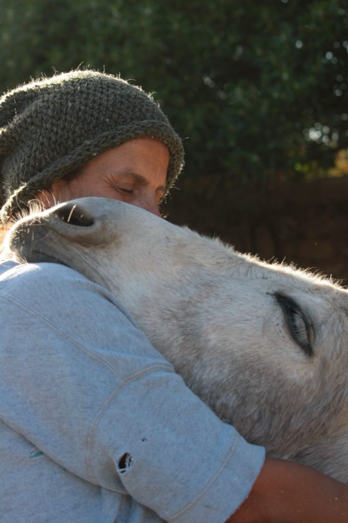 Tessa e la sua famiglia animale