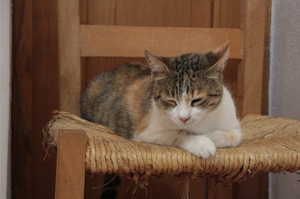 chia-e-il-Castello-Aragonese