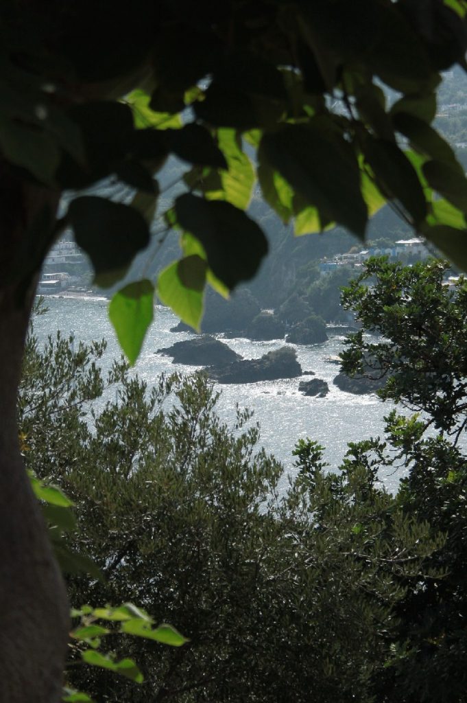 Ischia-e-il-castello-Aragonese