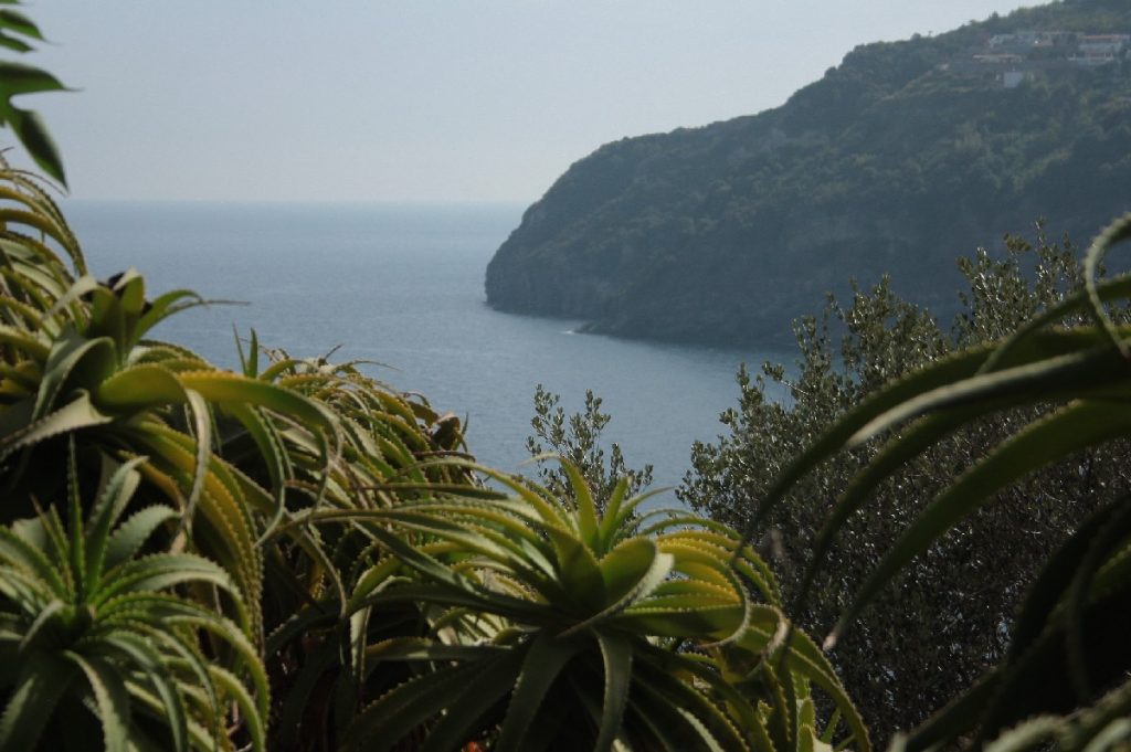 Ischia-e-il-castello-Aragonese