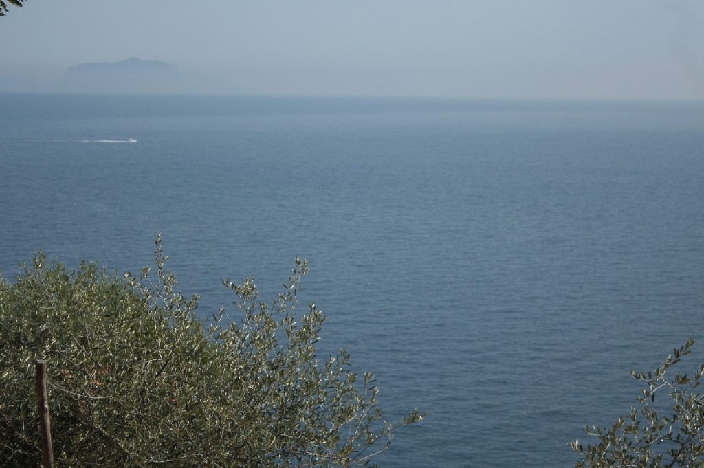 Ischia-e-il-castello-Aragonese