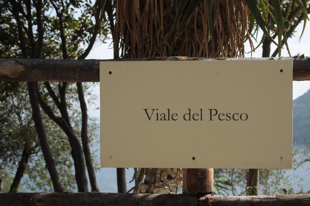 Ischia-e-il-castello-Aragonese