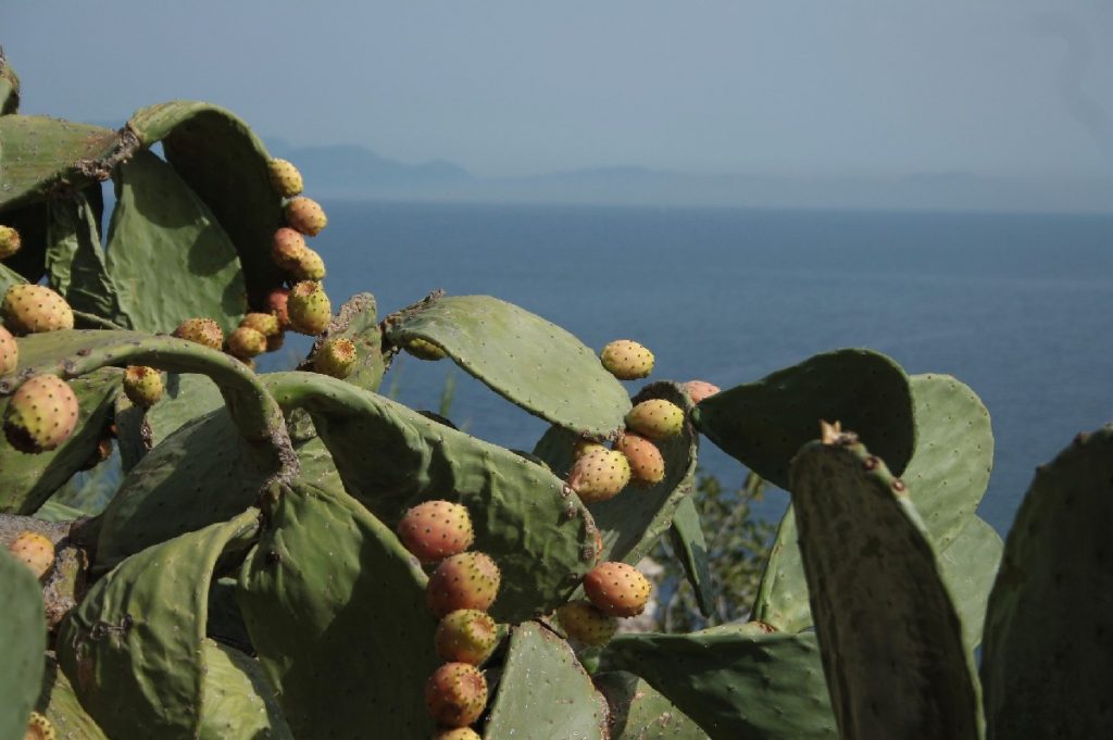 Ischia-e-il-castello-Aragonese