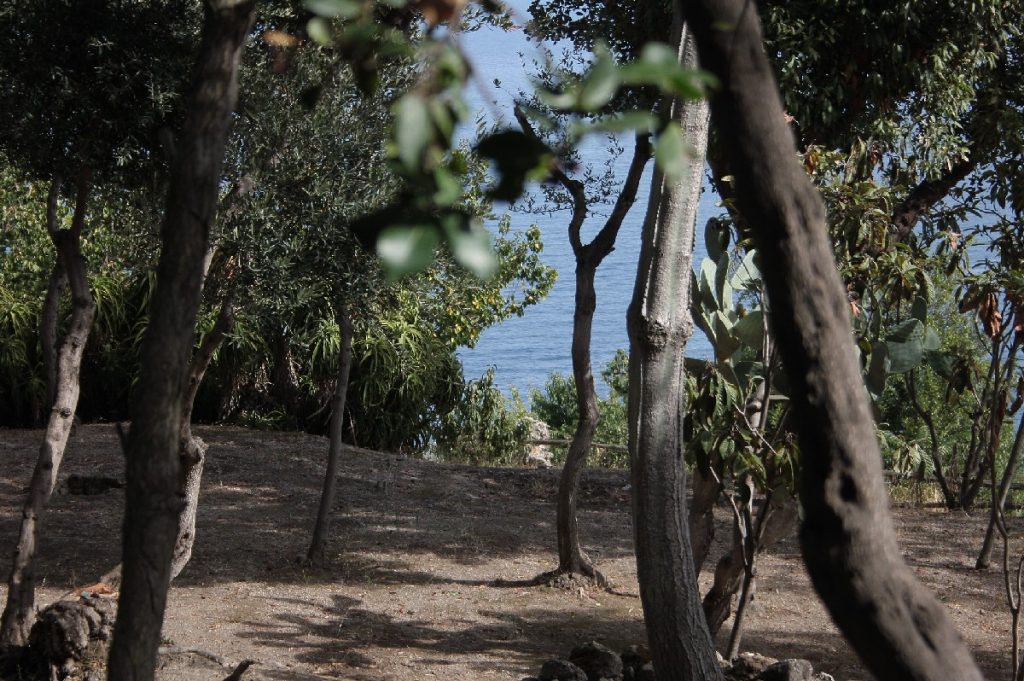 Ischia-e-il-castello-Aragonese