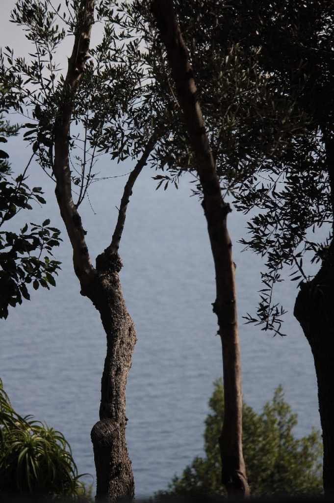 Ischia-e-il-castello-Aragonese