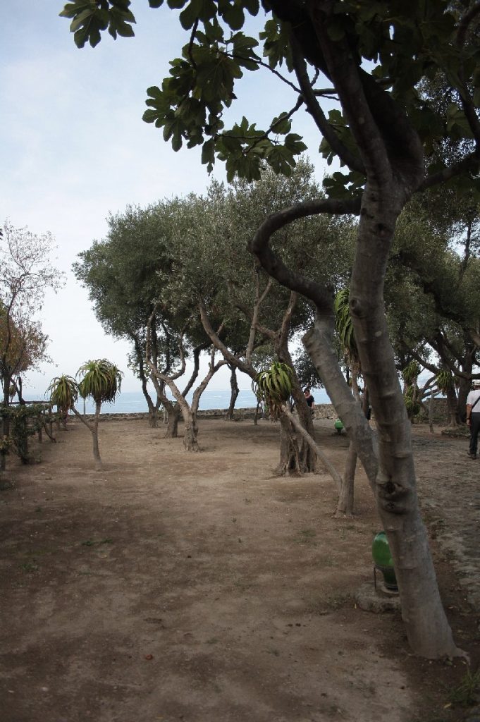 Ischia-e-il-Castello - Aragonese